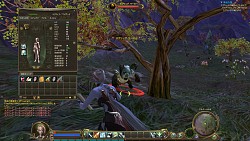 画像ギャラリー No.017のサムネイル画像 / 聞きしに勝る大作MMORPG「The Tower of AION」の先行プレイレポートを4Gamerに掲載