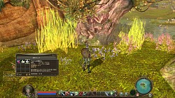 画像ギャラリー No.036のサムネイル画像 / 聞きしに勝る大作MMORPG「The Tower of AION」の先行プレイレポートを4Gamerに掲載