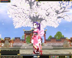 画像ギャラリー No.001のサムネイル画像 / 春といえばやっぱり桜! 「熱血江湖」で「さくらまつり2008」開催