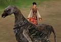 「天道オンライン」，2月26日に大型アップデート実施。新たな「霊獣」の追加，ハイレベル向けの新エリア，細かなバランス調整など