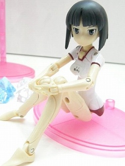 画像ギャラリー No.015のサムネイル画像 / 「ワンダーフェスティバル 2008［夏］」に今年もまた行ってきました