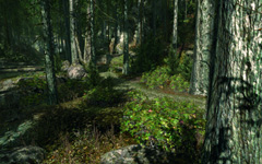 画像ギャラリー No.003のサムネイル画像 / ［GDC 2009＃34］CryENGINE 3は，クロスプラットフォームでの開発に完全対応
