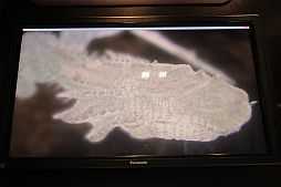画像ギャラリー No.009のサムネイル画像 / ［GDC 2012］シリコンスタジオ，現在開発中の国産ゲーム開発環境「Paradox Engine」を出展