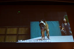 画像ギャラリー No.024のサムネイル画像 / ［CEDEC 2012］メイキングオブ「Agni’s Philosophy」。スクエニの次世代ゲームエンジン「Luminous Studio」を使った技術デモ，その開発秘話 