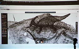 画像ギャラリー No.019のサムネイル画像 / ［CEDEC 2013］写真から高精度な3Dデータを作る「リアリティキャプチャー」が，ゲーム開発者にも手の届くところにやってきた
