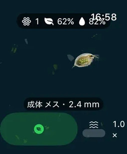 ミジンコ:生態観察ゲーム