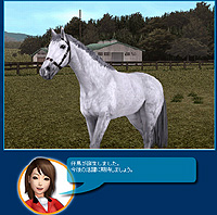 画像ギャラリー No.001のサムネイル画像 / 最強馬を生みだせ! 「Gallop Racer ONLINE」に生産システムが実装