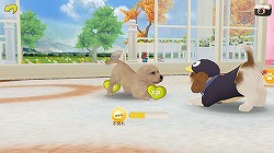 画像ギャラリー No.012のサムネイル画像 / 2014年のガマニアデジタルエンターテインメントは,スマートフォンアプリを続々とリリース。同社の今後の事業展開について,浅井 清社長と中島秀樹氏に聞いた