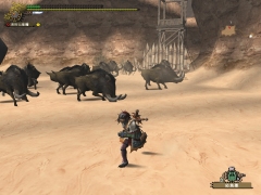画像ギャラリー No.016のサムネイル画像 / 「MHF」プレイレポート前編：初心者〜中級者向けのコンテンツが充実してきた“シーズン2.0”