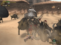 画像ギャラリー No.017のサムネイル画像 / 「MHF」プレイレポート前編：初心者〜中級者向けのコンテンツが充実してきた“シーズン2.0”