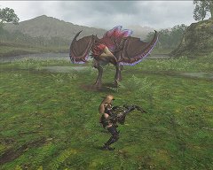 画像ギャラリー No.001のサムネイル画像 / シーズン9.0初日に同時接続数7万人を記録。「MHF」連載2回目はオリジナルモンスター特集，剛種や特異個体のムービーを公開