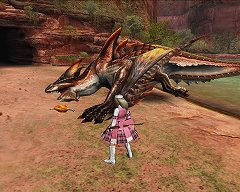 画像ギャラリー No.004のサムネイル画像 / シーズン9.0初日に同時接続数7万人を記録。「MHF」連載2回目はオリジナルモンスター特集，剛種や特異個体のムービーを公開