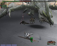 画像ギャラリー No.011のサムネイル画像 / シーズン9.0初日に同時接続数7万人を記録。「MHF」連載2回目はオリジナルモンスター特集，剛種や特異個体のムービーを公開
