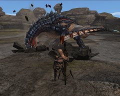 画像ギャラリー No.013のサムネイル画像 / シーズン9.0初日に同時接続数7万人を記録。「MHF」連載2回目はオリジナルモンスター特集，剛種や特異個体のムービーを公開