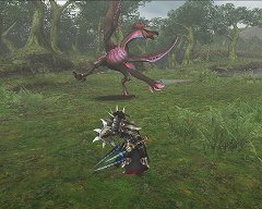 画像ギャラリー No.008のサムネイル画像 / 「モンスターハンター フロンティア オンライン」“フォワード.1”ゲーマガ連載第2回は特異個体や驚異の性能を誇る秘伝防具を紹介