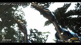 画像ギャラリー No.008のサムネイル画像 / 高解像度画面でラヴィエンテが暴れ回る,「MHFベンチマーク【大討伐】」を4Gamerで先行配布
