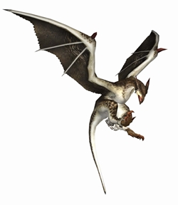 画像ギャラリー No.043のサムネイル画像 / 新モンスター“ゴゴモア”と拡張されるフィールド“潮島”で新たな驚きを。「MHF」大型アップデート「フォワード.2“跳影、熱帯の猛き眷族”」実装直前インタビュー