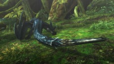 画像ギャラリー No.004のサムネイル画像 / 迅竜ナルガクルガが4月27日に狩猟解禁。「モンスターハンターフロンティアG」大型アップデート「G10」の追加情報を公開