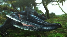 画像ギャラリー No.007のサムネイル画像 / 迅竜ナルガクルガが4月27日に狩猟解禁。「モンスターハンターフロンティアG」大型アップデート「G10」の追加情報を公開