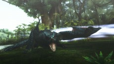 画像ギャラリー No.010のサムネイル画像 / 迅竜ナルガクルガが4月27日に狩猟解禁。「モンスターハンターフロンティアG」大型アップデート「G10」の追加情報を公開