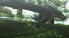 画像ギャラリー No.013のサムネイル画像 / 迅竜ナルガクルガが4月27日に狩猟解禁。「モンスターハンターフロンティアG」大型アップデート「G10」の追加情報を公開