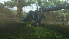 画像ギャラリー No.015のサムネイル画像 / 迅竜ナルガクルガが4月27日に狩猟解禁。「モンスターハンターフロンティアG」大型アップデート「G10」の追加情報を公開