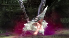 画像ギャラリー No.021のサムネイル画像 / 迅竜ナルガクルガが4月27日に狩猟解禁。「モンスターハンターフロンティアG」大型アップデート「G10」の追加情報を公開