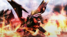 画像ギャラリー No.029のサムネイル画像 / 迅竜ナルガクルガが4月27日に狩猟解禁。「モンスターハンターフロンティアG」大型アップデート「G10」の追加情報を公開