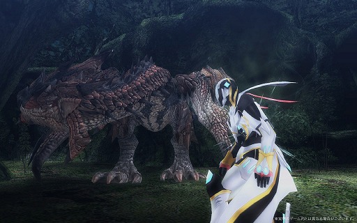 画像ギャラリー No.019のサムネイル画像 / 「MHF-Z」，無双襲撃戦に新たな高難度モンスター「極み耀くゼルレウス」が登場