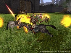 画像ギャラリー No.009のサムネイル画像 / 待望の「武魂技」実装! 日本独自展開にも力を入れる「三国群英伝ONLINE」の2009年の計画を聞いてきた