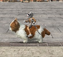 画像ギャラリー No.003のサムネイル画像 / 「三国群英伝ONLINE」，本日より特典満載のカムバックキャンペーンを実施