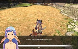 画像ギャラリー No.030のサムネイル画像 / とにかくPRANが可愛い 「エイカ オンライン」先行プレイレポート