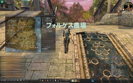 画像ギャラリー No.014のサムネイル画像 / 【PR】MMORPG未経験でも問題なし! 年末年始は「エイカ オンライン」で可愛いプランに出会っちゃおう