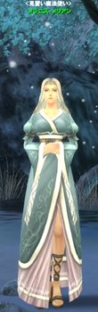 画像ギャラリー No.011のサムネイル画像 / 敵を倒してメダルを手に入れよう。「エイカ オンライン」国家戦にランダムで経験値などが獲得できる新アイテム「WARメダル」が登場