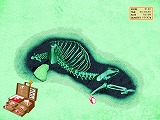 画像ギャラリー No.006のサムネイル画像 / セガ，眞鍋かをりさん推薦の化石発掘ゲーム「化石プレイ」を発売