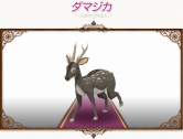 画像ギャラリー No.006のサムネイル画像 / 「コンチェルトゲート」チェルトくじ更新。リアルなどうぶつペット登場