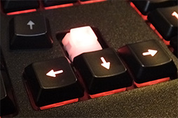 画像ギャラリー No.003のサムネイル画像 / ［CES 2015］SteelSeries独自の高速キースイッチはいったいどんなもの？ 新型キーボード「Apex M800」をチェックしてきた