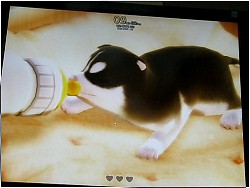 画像ギャラリー No.008のサムネイル画像 / ［G★2008＃15］ついにプレイアブルになった「ハスキーエクスプレス」G★版の2種類のプレイモードをムービーで