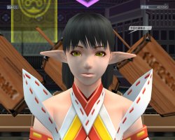 画像ギャラリー No.002のサムネイル画像 / フリーコース導入で同接は約2倍に！　活気を取り戻した「ファンタシースターユニバース イルミナスの野望」の次なるステップを聞いた