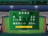 戦略プロ野球2007〜熱戦クライマックス〜