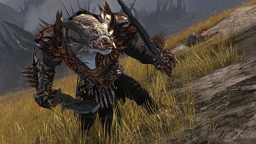 画像ギャラリー No.005のサムネイル画像 / ついに情報が公開され始めた「Guild Wars 2」。選択可能なプロフェッションの一つ“Warrior”の詳細が公式サイトで発表に