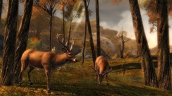 画像ギャラリー No.003のサムネイル画像 / ［Gamescom］既存MMORPGの枠を超える「Guild Wars 2」。プレゼンテーションで判明した情報をまとめて紹介