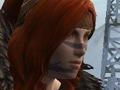 「Guild Wars 2」，苛酷な環境の下たくましく生きるNorn種族の狩場「The Shiverpeaks」の紹介ムービーを4GamerにUp