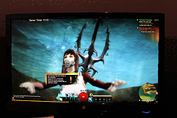 画像ギャラリー No.024のサムネイル画像 / ［G-Star 2011］「Guild Wars 2」プレイレポート。キャラクターメイキングやパーソナルストーリー，ダイナミックイベントに触れてみた