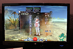 画像ギャラリー No.025のサムネイル画像 / ［G-Star 2011］「Guild Wars 2」プレイレポート。キャラクターメイキングやパーソナルストーリー，ダイナミックイベントに触れてみた
