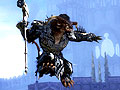 「Guild Wars 2」では，300人規模の大規模戦闘が楽しめる。公式ブログで，サーバー間対戦モードの詳細が明らかに