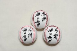 画像ギャラリー No.003のサムネイル画像 / 「プロ野球チームをつくろう!ONLINE 2」2011開幕ダッシュキャンペーン開催