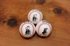 画像ギャラリー No.011のサムネイル画像 / 「プロ野球チームをつくろう!ONLINE 2」2011開幕ダッシュキャンペーン開催