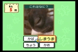 画像ギャラリー No.004のサムネイル画像 / 極私的コンシューマゲームセレクション：第13回「Wiiでやわらかあたま塾」