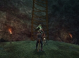 画像ギャラリー No.011のサムネイル画像 / EQIIの拡張パック第4弾,「EverQuest II Rise of Kunark」のプレイレポートを掲載